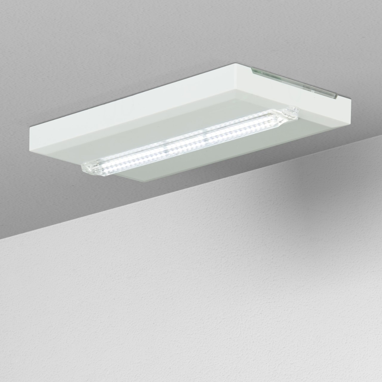 eaton-emergency-lighting-safety-flexitech-se-ceiling.jpg