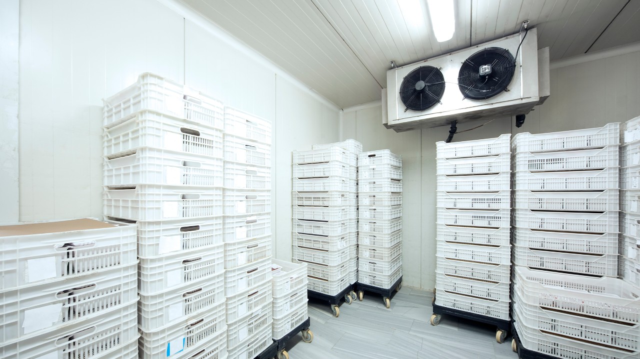 eaton-ceag-el-cps-cold-store-storage-mg.jpg