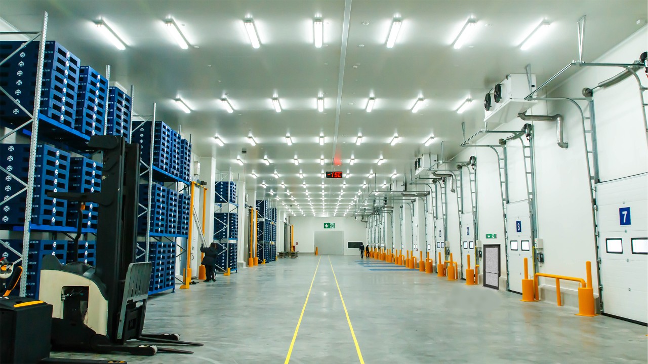eaton-ceag-el-cps-cold-store-46011-mg.jpg